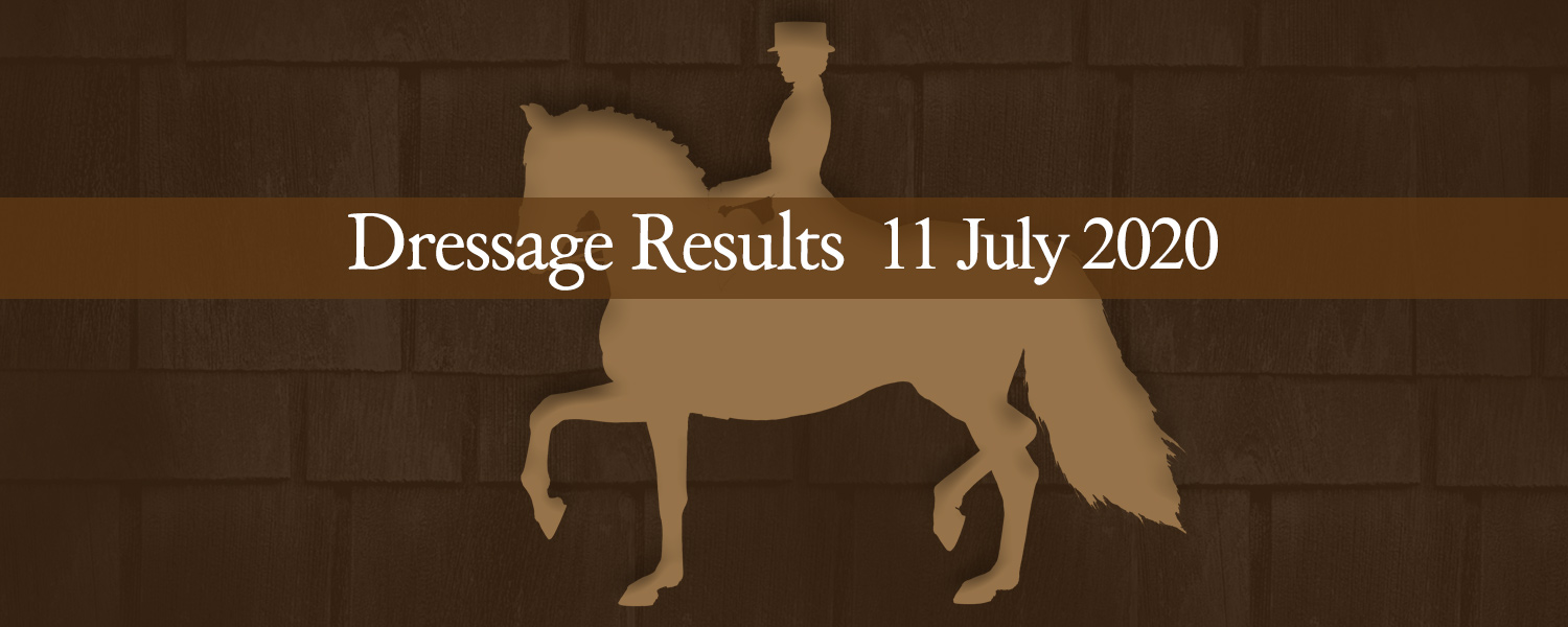 Ballavartyn Dressage Results 11-07-20