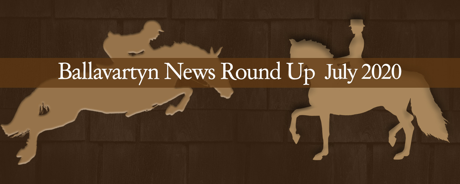 Ballavartyn News Round Up - July 2020