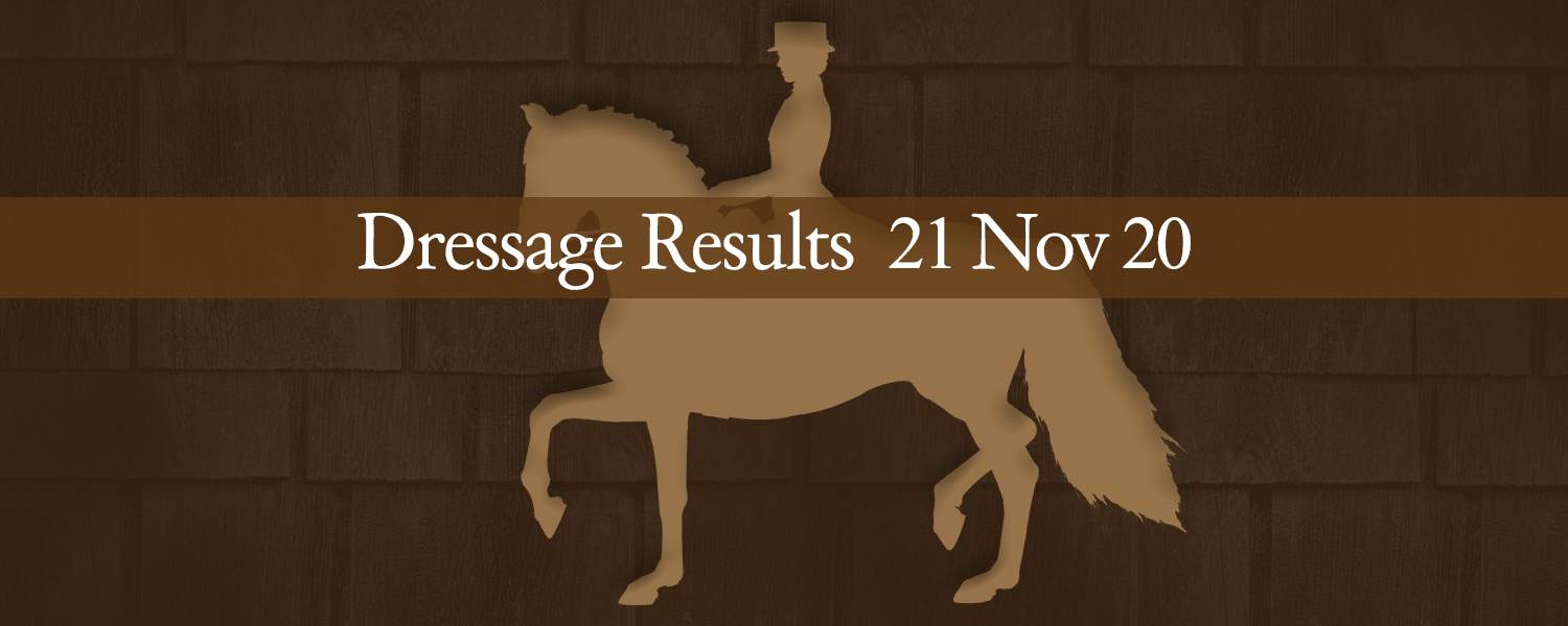 Ballavartyn Dressage Results 21 November 2020